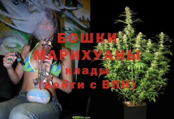 ГАЛЛЮЦИНОГЕННЫЕ ГРИБЫ Нея