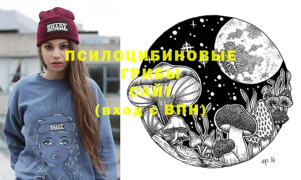 ГАЛЛЮЦИНОГЕННЫЕ ГРИБЫ Нея
