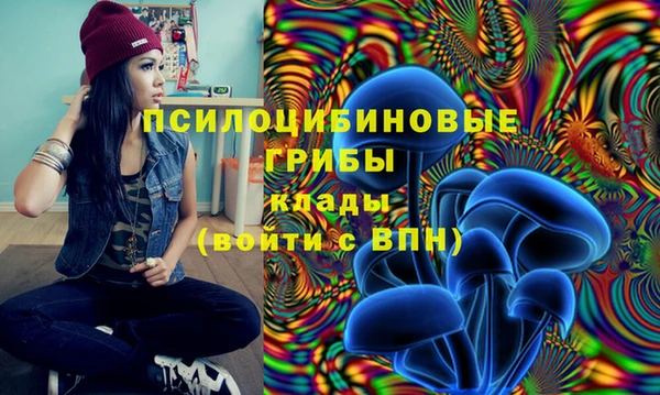 дживик Сясьстрой