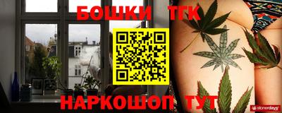 крисы Коммунар