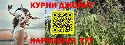 крисы Коммунар