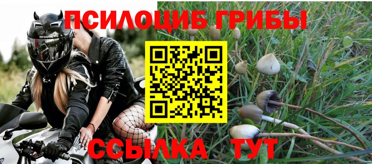 купить наркоту  Псилоцибиновые грибы GOLDEN TEACHER  Вход с VPN  Азов 