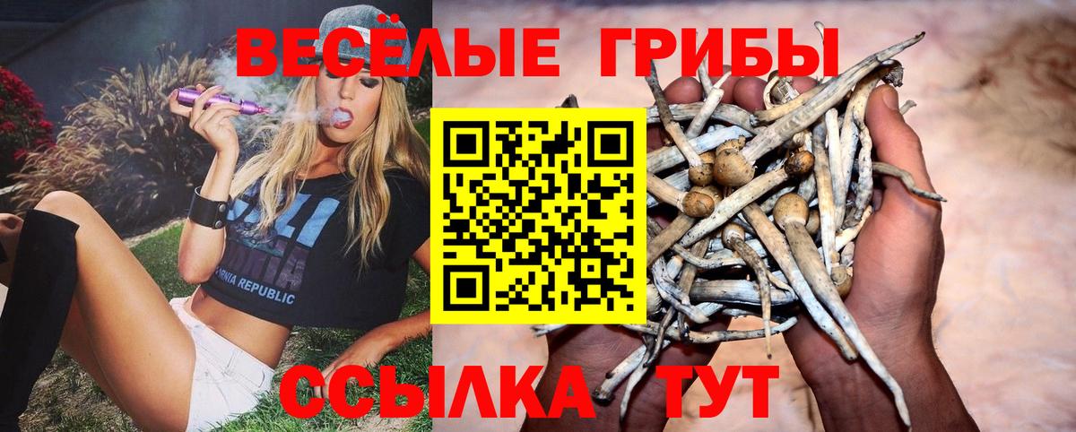 Галлюциногенные грибы GOLDEN TEACHER Азов