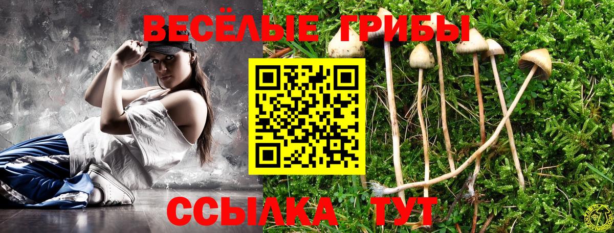 Псилоцибиновые грибы Magic Shrooms  Псилоцибиновые грибы Psilocybe  Азов 